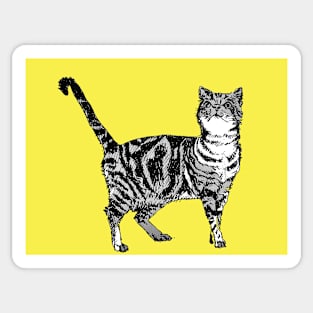 Cute Striped Tabby Cat Art Lemon Yellow Sticker